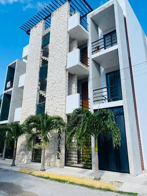 Luxury Apartamento En Centro De Τουλούμ